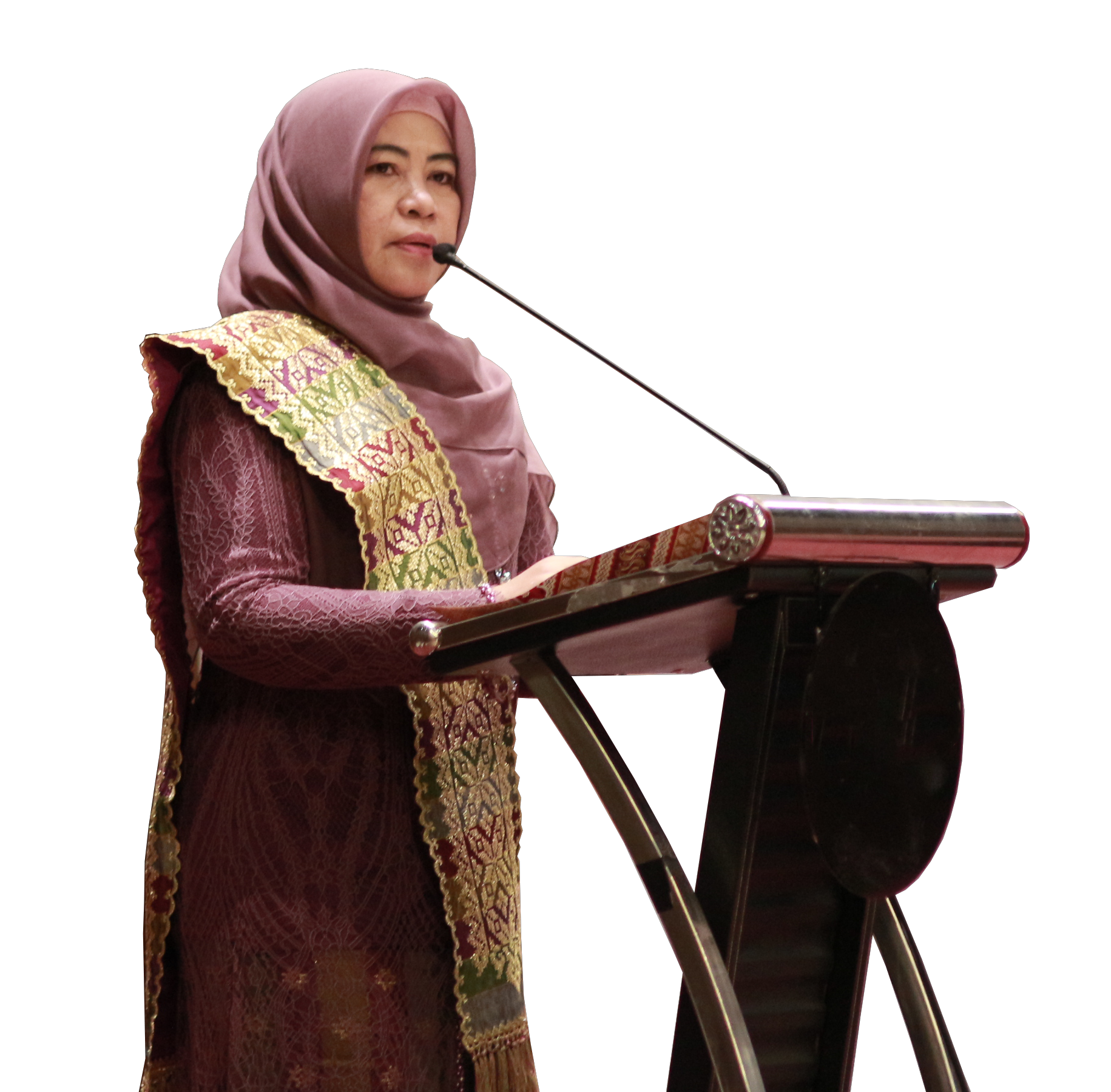 SAMBUTAN PEMBINA YAYASAN IKPI PEKANBARU